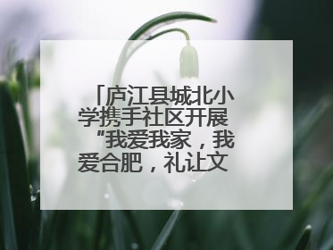 庐江县城北小学携手社区开展“我爱我家，我爱合肥，礼让文明”实践活动